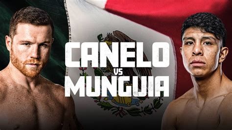 canelo bet odds